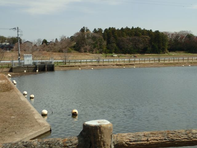 P3210071