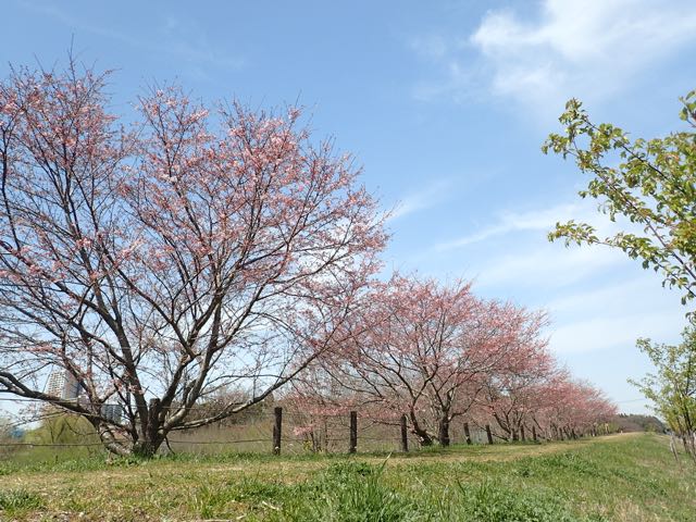 P3210083