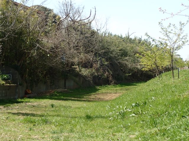 P3210087