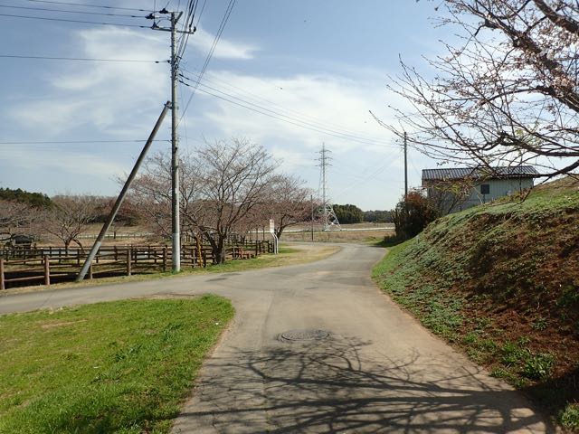 P3210098