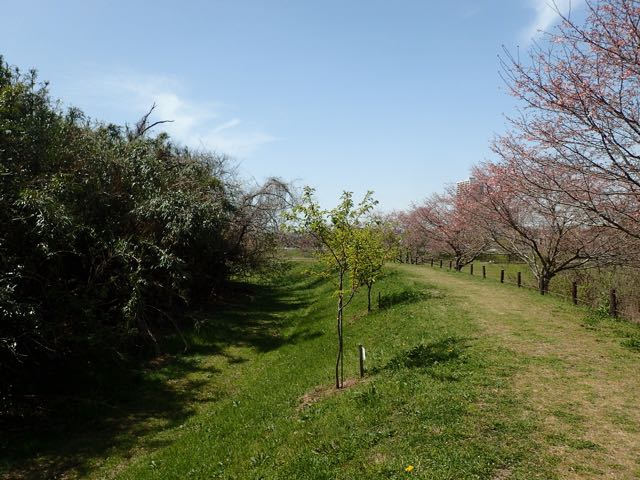 P3210113