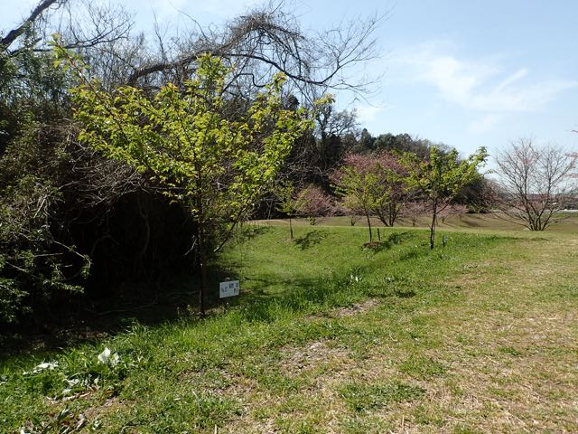 P3210116