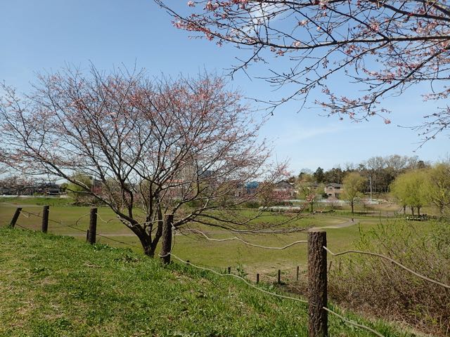 P3210118