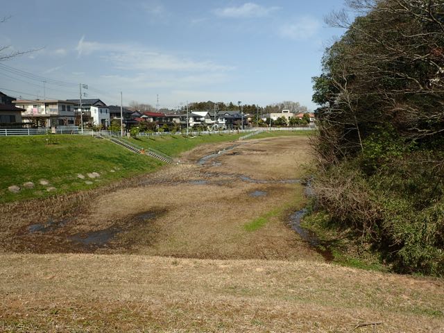 P3210153