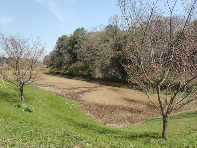 P3210158