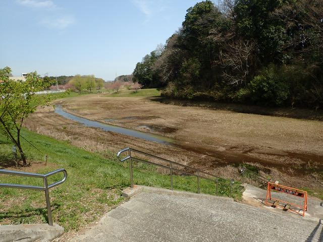 P3210161