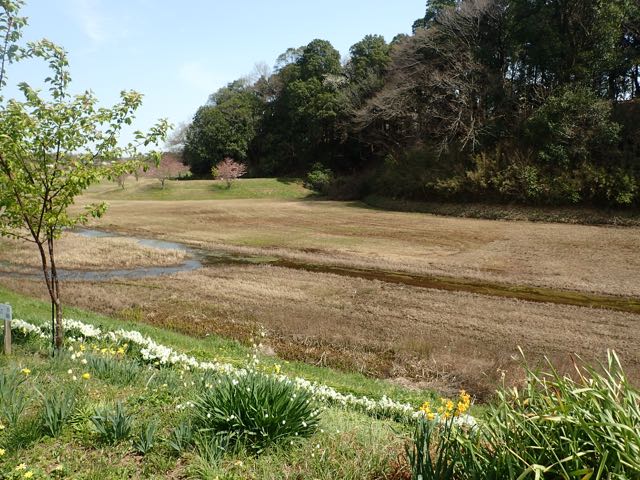 P3210166