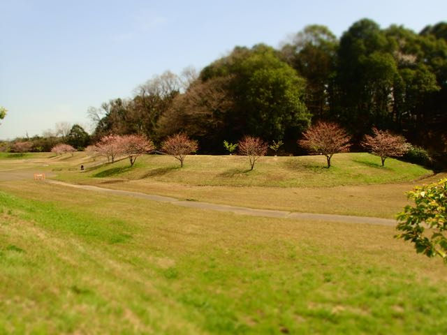 P3210170