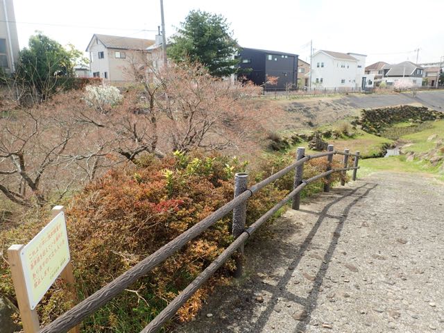 P3210184
