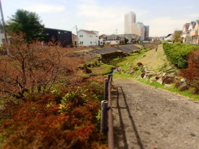 P3210185