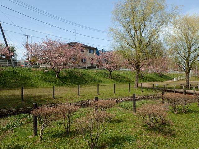 P3210193